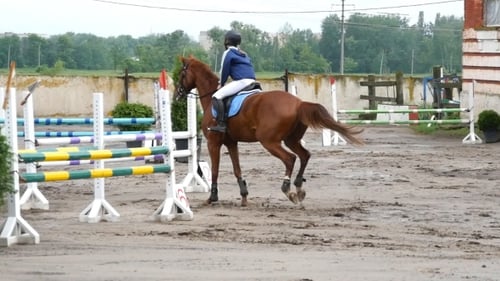 Professionelle weibliche Jockey-Fahrten auf dem Pferderücken. Pferd galoppiert und springt durch eine Barriere