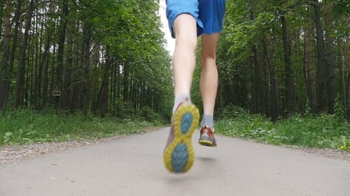 Jogger On a Trail In The Forest In