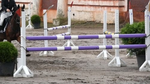 Passeios de jóquei feminino profissional a cavalo