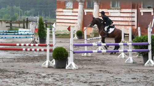 Pferd springt durch eine Barriere.