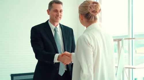 Business Handshake in Bright Modern Office