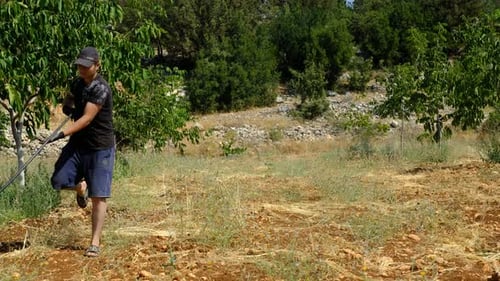 Farmer Inspecting Land on Sunny Day