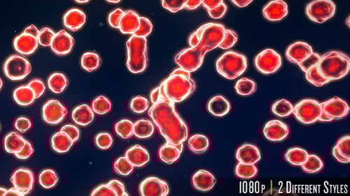 Abstract Red Cell Movement Background Loop Animation