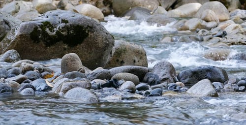 Mountain River - Water and Stones - 01