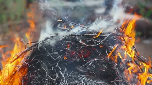 Burning Fire Consuming Twigs and Branches