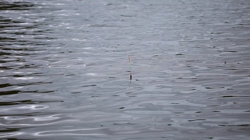 Fishing Bobber Floating Calmly on Water Surface