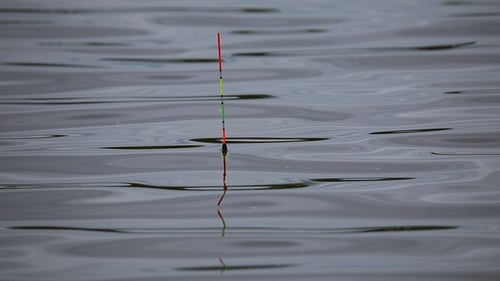 Fishing Bobber Floating in Still Water