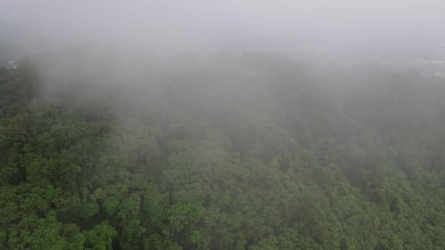 Aerial drone view of mist tropical rainforest in valley, Indonesia.