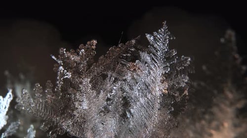 Macro Ice Crystals Growing in the Winter Cold