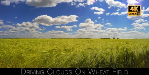 Treibende Wolken auf dem Weizenfeld