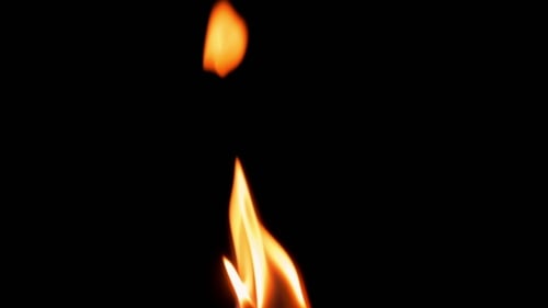Close Up of Flickering Flames on Black Background