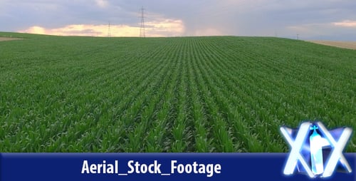 Agriculture
