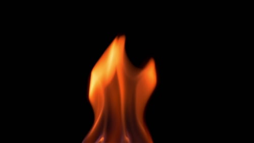 Natural Burning Fire Flame On The Black Background