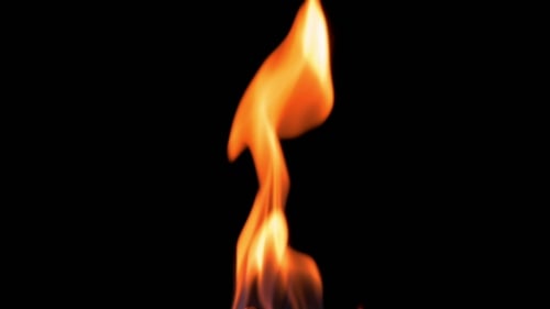 Natural Burning Fire Flame On The Black Background