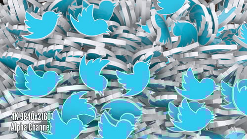 3D Social Media Bird Icons Fill and Clear Transition