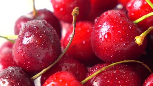 Juicy Red Cherries with Water Droplets in Close-Up