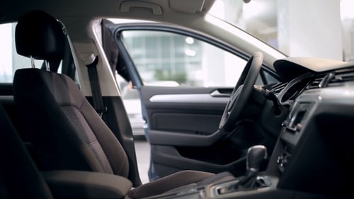 Customer Inspecting Car Interior