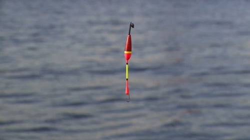 Red Fishing Bobber Floating on Ocean Water