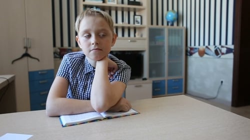 Boy Sits With Book At Desk At Home