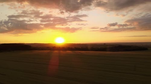 Vue aérienne du paysage du champ agricole cultivé jaune avec du blé mûr sur un été dynamique