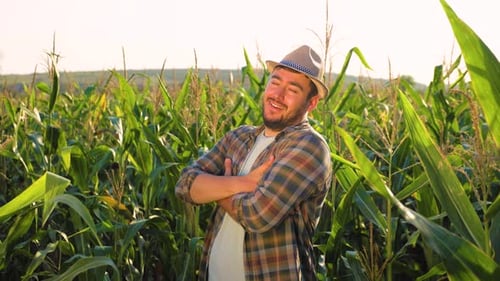 Smiling Man Stands Proudly in Cornfield