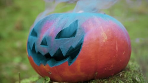 Halloween Pumpkin with Colored Smoke in the Autumn Forest