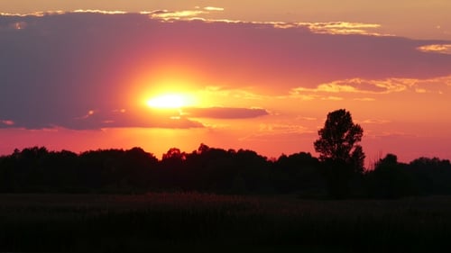 Fiery Sunset over Rural Landscape