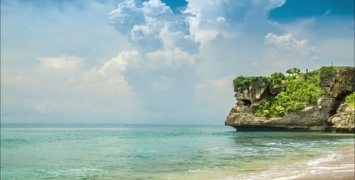 Playa oceánica con árboles en la roca