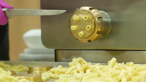 Pasta Machine Cuts Macaroni Noodles in Food Processing