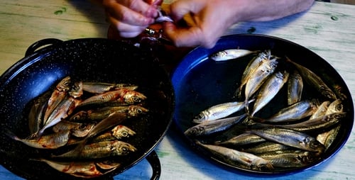 Fische reinigen 3
