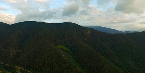 Aerial View of Forested Mountain Range
