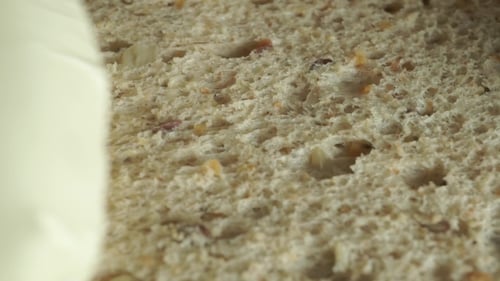 Cream Cheese Spreading on Fresh Whole Wheat Bread