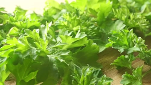 Fresh Green Parsley Leaves On Wooden Cutting Board Dolly Shot