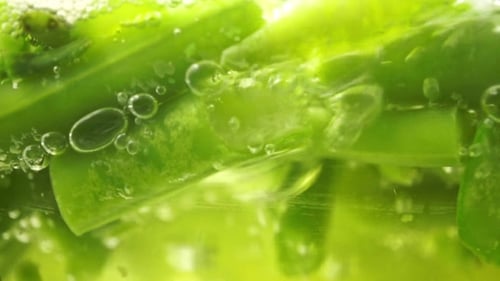 Grüne Bohnen kochen in einer Glaspfanne