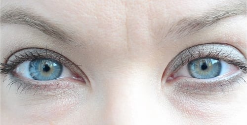 Eyes 15