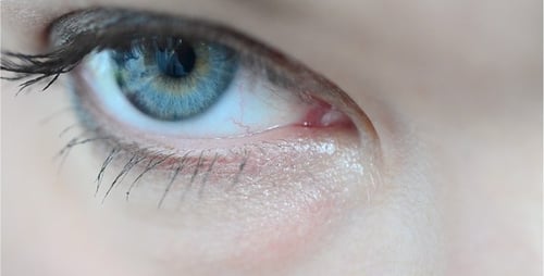 Eyes 26