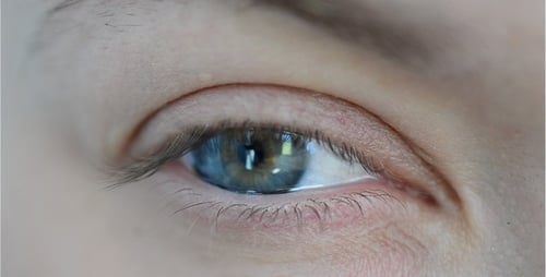 Augen 30