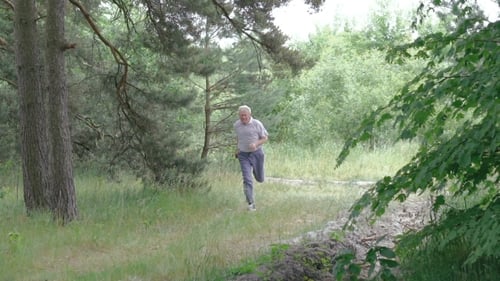 Old Man Jogging Outdoors In a Coniferous Forest Nature.