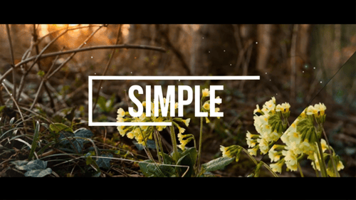 Elegant Slideshow