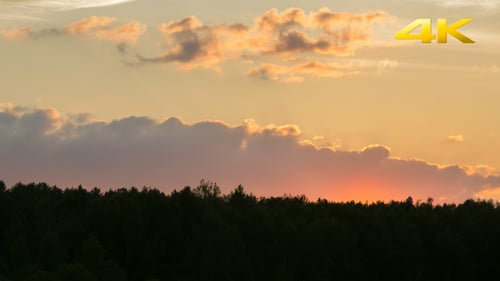 Puesta de sol con nubes sobre el bosque 2