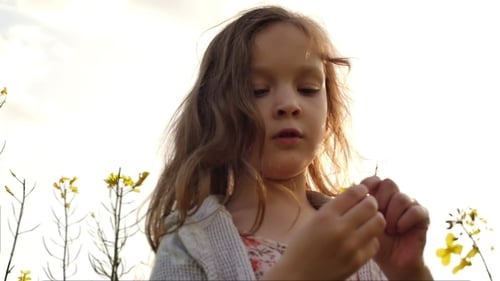 Little Girl Standing In a Field Picking Flowers