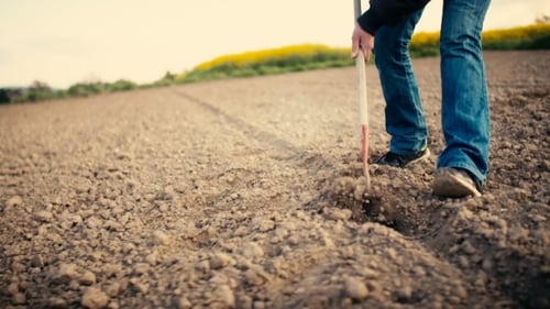 Farmer Using Hoe On Dirt At Farm