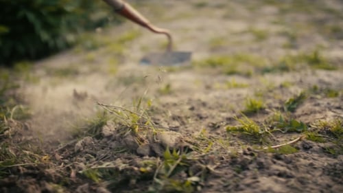 Farmer Using Hoe On Dirt At Farm