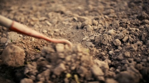 Farmer Using Hoe On Dirt At Farm