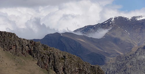 Summer Landscape in the Mountains