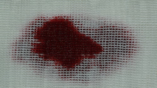 Sangre en gasa 2