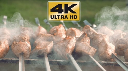 Barbecue Skewers With Meat Cooking On The Grill