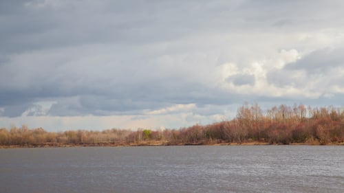 Nuages de pluie dans la forêt