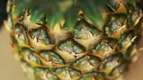 Close Up of a Ripe Pineapple
