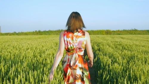Girl In a Field Smiling Emotions Hands Dancing Ears Laughs Runs Listening To Music Girl Portrait Sun